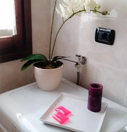 Apartmán Tulip