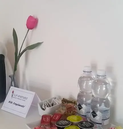 Tulip Apartment